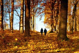 Couple walking in colorful autumn park