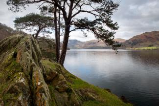 Ullswater and the Helvellyn Range from below Hallin Fell, Lake Distric