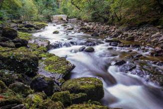 View of waterfall through forest floor