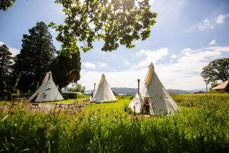 Three tipi's in a field at YHA Windermere