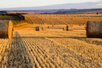 Straw Bales on the East Yorkshire Wolds at dawn