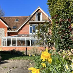 Brick hostel building with daffodil flowers in the foreground