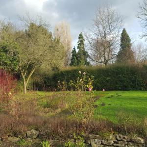 YHA Leominster garden