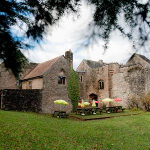 Rear courtyard