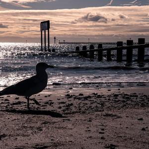 Littlehampton beach 