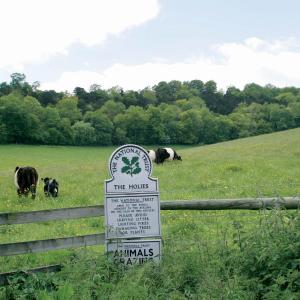 YHA Streatley Grounds