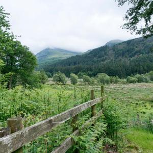 YHA Ennerdale garden