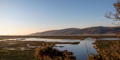 Marsh land nature reserve behind Aberdyfi