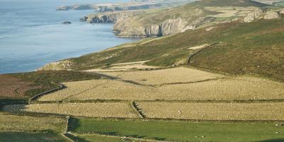 St Davids Peninsular