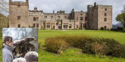 Muncaster Castle with Steppe Eagal and handler insert