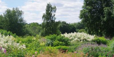 View of Pensthorpe gardens