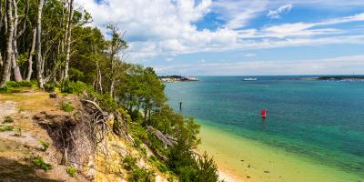 Brownsea Island