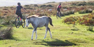 Mountain Biking in Conwy