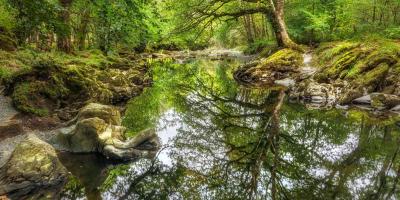 Stream near Betws-y-Coed, Snowdonia