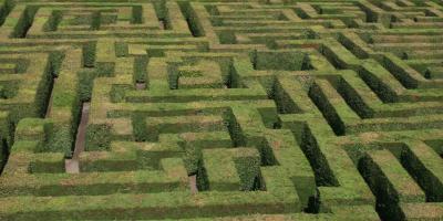 Maze of hedges