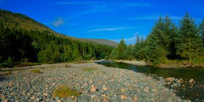 Wild Ennerdale Valley project