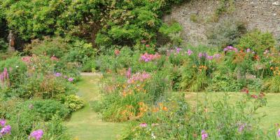 Hartland Abbey Gardens