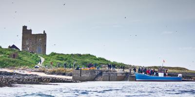 Farne Island Boat Trips in Berwick 