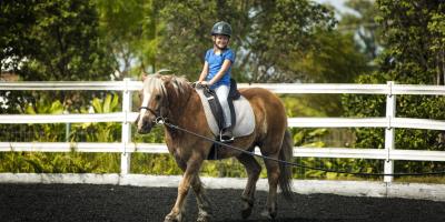 Cantref Adventure Farm