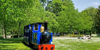 Miniature Steam Train