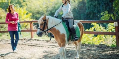 The Exmoor Pony Centre