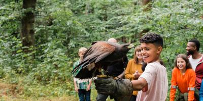 Bird of prey on visitor's arm