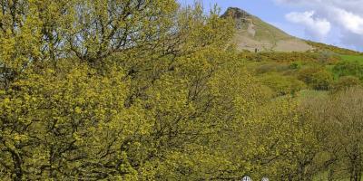 Mountain bikes near Roseberry Topping, Yorkshire