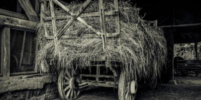 Historic hay wagon in barn