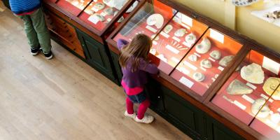 Girl in a museum studying a fossil