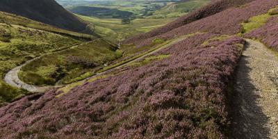 Mountain Biking in the Northern Fells