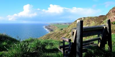 Whitehaven bench