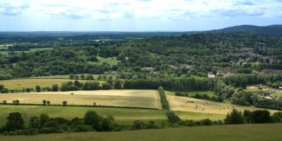 Walking and Rambling in Tanners Hatch Surrey Hills