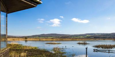 Leighton Moss RSPB reserve