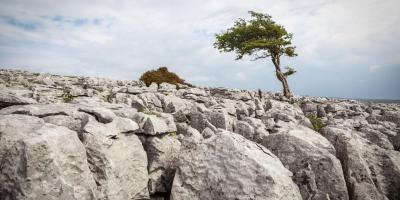 Climbing in Ingleton 