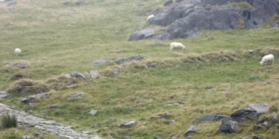 Climbing in Snowdon Pen-y-Pass