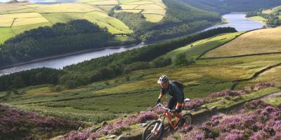 Cycling in National Forest 