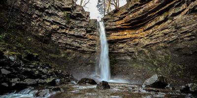 Hardraw Force