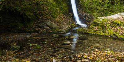 Lydford Gorge