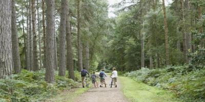 Cycling in Wye Valley