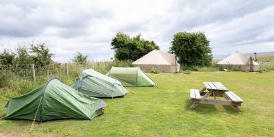 Small tents in a camping field