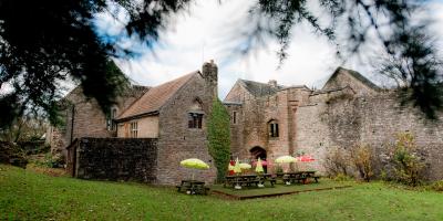 Rear courtyard