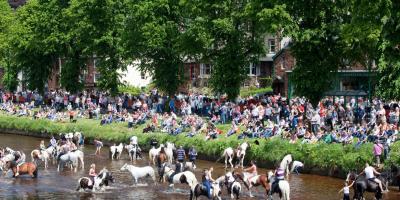 Appleby horse fair, Cumbria