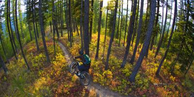 Mountain Biking in Snowdonia 