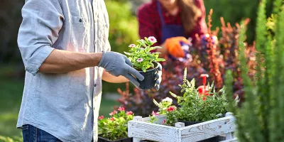 Man gardening 