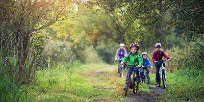 Forest Leisure Cycling