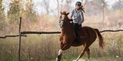 Northfield Farm Riding and Trekking Centre