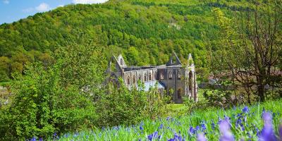 Tintern Abbey