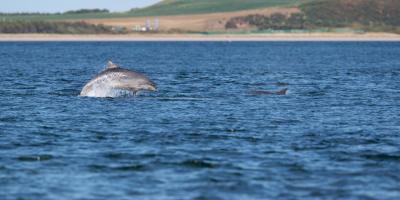 Gower Coast Adventures