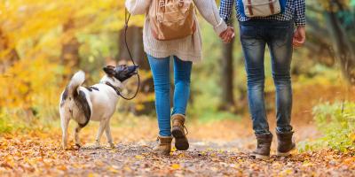 Couple walking in woods