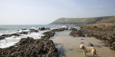 Walking and Rambling in Manorbier